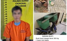 Permalink ke Polsek Medang Kampai Berhasil Ungkap Kasus Pencurian Buah Sawit, Seorang Pria Diamankan