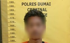 Permalink ke Polsek Sungai Sembilan Tangkap Pencuri 677 Kg Buah Sawit di Dumai