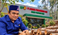 Permalink ke Joni Fiter Buka Suara soal Kayu Akasia Rantau Kasih: Rp70 Ribu/Ton untuk SPR Trada, Rp50 Ribu untuk Masyarakat Adat