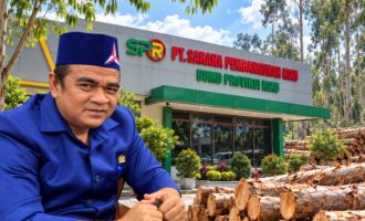 Permalink ke Joni Fiter Buka Suara soal Kayu Akasia Rantau Kasih: Rp70 Ribu/Ton untuk SPR Trada, Rp50 Ribu untuk Masyarakat Adat
