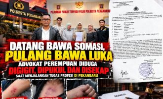 Permalink ke Datang Bawa Somasi, Pulang Bawa Luka: Advokat Perempuan Laporkan Dugaan Kekerasan ke Polresta Pekanbaru
