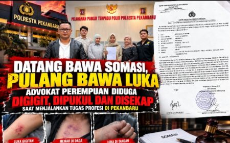 Permalink ke Datang Bawa Somasi, Pulang Bawa Luka: Advokat Perempuan Laporkan Dugaan Kekerasan ke Polresta Pekanbaru