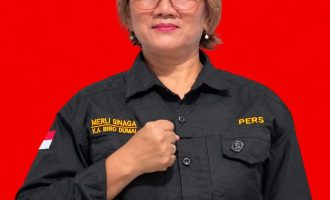 Permalink ke Ketua DPC AWI Kota Dumai Merli Sinaga Resmi Umumkan Pengunduran Diri Tiga Pengurus Inti