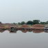 Penimbunan Tepi Sungai Siak di Rumbai Jadi Sorotan, Bagaimana Status Lahan dan Perizinannya? Penimbunan Tepi Sungai Siak di Rumbai Jadi Sorotan, Bagaimana Status Lahan dan Perizinannya?