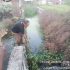 Cegah Banjir Pemukiman, Tokoh Masyarakat Janangkok Lumban Raja Berjibaku Bersihkan Parit Penuh Eceng Gondok di Tanjung Palas.