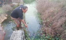 Permalink ke Cegah Banjir Pemukiman, Tokoh Masyarakat Janangkok Lumban Raja Berjibaku Bersihkan Parit Penuh Eceng Gondok di Tanjung Palas. Permalink ke Cegah Banjir Pemukiman, Tokoh Masyarakat Janangkok Lumban Raja Berjibaku Bersihkan Parit Penuh Eceng Gondok di Tanjung Palas.
