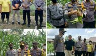 Permalink ke Kapolres Kampar : Gerakan Jaga Kampung Program Ketahanan Pangan Di Desa Laboy Jaya Sukses