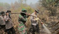 Permalink ke Kapolda Riau Gencarkan Padamkan Api Karhutla Di Pulau Merbau dan Bengkalis