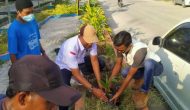 Permalink ke Dirut CV.BSI Gandeng Karang Taruna Jaya Mukti Tanam Mangggis Dan Pinang Batara