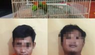 Permalink ke Bongkar Toko Burung di Desa Petapahan, 2 Pelaku Pencurian ini Ditangkap Polsek Tapung Permalink ke Bongkar Toko Burung di Desa Petapahan, 2 Pelaku Pencurian ini Ditangkap Polsek Tapung