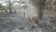 Permalink ke Temukan Kebakaran Lahan Saat Patroli, Bhabinkamtibmas dan MPA Karya Indah Lakukan Pemadaman Permalink ke Temukan Kebakaran Lahan Saat Patroli, Bhabinkamtibmas dan MPA Karya Indah Lakukan Pemadaman