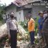 Tiga Rumah Rusak Akibat Hujan Dan Angin Kencang Di Kuansing. Tiga Rumah Rusak Akibat Hujan Dan Angin Kencang Di Kuansing.