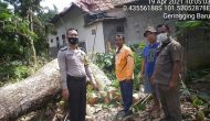 Permalink ke Tiga Rumah Rusak Akibat Hujan Dan Angin Kencang Di Kuansing.