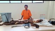Permalink ke Polda Riau Gagalkan Perdagangan Kulit Harimau, Satu Pelaku Ditangkap Permalink ke Polda Riau Gagalkan Perdagangan Kulit Harimau, Satu Pelaku Ditangkap