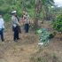 Tragis, 2 Pekerja CV. HRKU Tewas Tersengat Arus Listrik Saat Bekerja di Wilayah Desa Kebun Durian Kampar Tragis, 2 Pekerja CV. HRKU Tewas Tersengat Arus Listrik Saat Bekerja di Wilayah Desa Kebun Durian Kampar