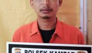 Permalink ke Tersangka Kasus Narkoba di Polsek Kampar Terlibat Kasus Penipuan dan Atau Penggelapan