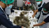 Permalink ke Penemuan Sesosok Mayat Tak Dikenal Di Desa Pandau Jaya Siak Hulu, Begini Ciri-cirinya Permalink ke Penemuan Sesosok Mayat Tak Dikenal Di Desa Pandau Jaya Siak Hulu, Begini Ciri-cirinya