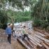 Tim Ditkrimsus Polda Riau Amankan Ratusan Tual Kayu Illegal Logging di Siak Kecil Bengkalis