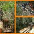 Temukan Pondok Dalam Hutan, Kapolda Riau Ingatkan Pentingnya Menjaga Cagar Biosfer Untuk Keseimbangan Alam Temukan Pondok Dalam Hutan, Kapolda Riau Ingatkan Pentingnya Menjaga Cagar Biosfer Untuk Keseimbangan Alam