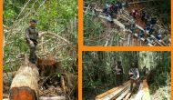 Permalink ke Temukan Pondok Dalam Hutan, Kapolda Riau Ingatkan Pentingnya Menjaga Cagar Biosfer Untuk Keseimbangan Alam