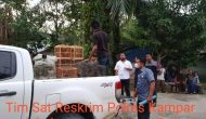 Permalink ke Polres Kampar Selamatkan Puluhan Burung Serindit Melayu (Satwa Dilindungi) dan Lepas Liarkan Ke-Habitatnya Permalink ke Polres Kampar Selamatkan Puluhan Burung Serindit Melayu (Satwa Dilindungi) dan Lepas Liarkan Ke-Habitatnya
