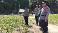Permalink ke Kapolsek Kandis Tinjau Perkembangan Tanaman Jagung, Komitmen Polri Dukung Ketahanan Pangan Terus Berlanjut Permalink ke Kapolsek Kandis Tinjau Perkembangan Tanaman Jagung, Komitmen Polri Dukung Ketahanan Pangan Terus Berlanjut