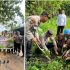 Polsek Bukit Kapur Gelar Green Policing di Ponpes Al-Harokah Darunnajah 12, Dorong Santri Peduli Lingkungan