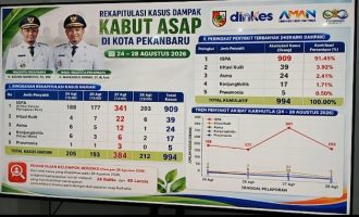 Permalink ke Kabut Asap Pekanbaru, 994 Kasus Terdampak Tercatat, ISPA Mendominasi 909 Kasus