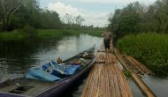 Permalink ke 120 Kubik Kayu Disita Polisi, Pelaku Ilog Hutan Lindung di Pelalawan Masih Lolos