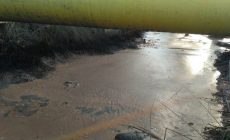 HNSI Riau Minta PT MSSP Diproses  karena Limbahnya Cemari Lingkungan