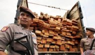Permalink ke Supir Pasang Badan, Polisi Buru Pemilik  6 Truk Angkut Kayu Ilegal yang Kabur