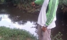 Dinas LH Kuansing Pastikan PT IIS Cemari Sungai,  Dewan: Jangan Cuma Ditegur, Harus Dipidanakan