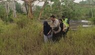 Permalink ke Lima Orang Mahasiswi “Menyeburkan diri Kedalam Danau” Karna diserang Tawon, Polsek Tampan Bergerak Cepat.