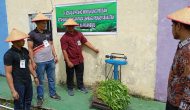 Permalink ke Dukung Program Ketahanan Pangan, Seksi Giatja Lapas Pekanbaru Panen Raya 136 kg Sayur Kangkung