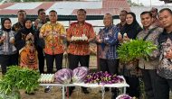 Permalink ke Panen Hasil Ketahanan Pangan, Jadikan Lapas Pasir Pangarayan Semakin Produktif