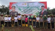 Permalink ke Dukung Ketahanan Pangan Nasional, Lapas Pasir Pangarayan Ikuti Panen Raya Jagung Serentak Tahap I