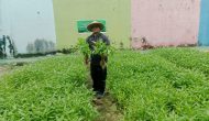 Permalink ke Panen Sayur Kangkung dan Pakcoy, Bukti Nyata Lapas Pekanbaru Terus Produktif dan Konsisten Dukung Program Ketahanan Pangan