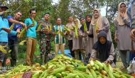 Permalink ke Desa Pulau Tinggi Raih Hasil Panen Jagung Perdana, PJ Kepala Desa: “Insya Allah Akan Terus Dilakukan”