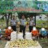 Dukung Ketahanan Pangan Nasional, Lapas Pasir Pangarayan Panen Jagung Manis Hasil Pembinaan Kemandirian