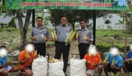 Permalink ke Dukung Ketahanan Pangan Nasional, Lapas Pasir Pangarayan Panen Jagung Manis Hasil Pembinaan Kemandirian Permalink ke Dukung Ketahanan Pangan Nasional, Lapas Pasir Pangarayan Panen Jagung Manis Hasil Pembinaan Kemandirian
