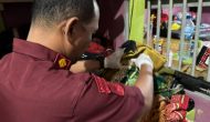 Permalink ke Tetap Jaga Kondusifitas, Lapas Pasir Pangarayan Geledah Kembali Kamar Hunian WBP Permalink ke Tetap Jaga Kondusifitas, Lapas Pasir Pangarayan Geledah Kembali Kamar Hunian WBP