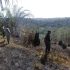 Polres Kuantan Singingi Ungkap Kasus Kebakaran Lahan di Kawasan Hutan Lindung Bukit Betabuh