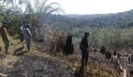 Permalink ke Polres Kuantan Singingi Ungkap Kasus Kebakaran Lahan di Kawasan Hutan Lindung Bukit Betabuh