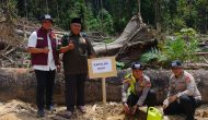 Permalink ke Bukan Cuma Tangkap Pelaku, Kapolda Riau Juga Tanam Pohon di Lokasi Perambahan Hutan Permalink ke Bukan Cuma Tangkap Pelaku, Kapolda Riau Juga Tanam Pohon di Lokasi Perambahan Hutan