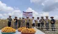 Permalink ke Kontribusi Nyata Dukung Program “Asta Cita” Ketahanan Pangan Nasional, Polsek Tapung Hilir Panen Raya Jagung Bersama PT. BWL MAS Permalink ke Kontribusi Nyata Dukung Program “Asta Cita” Ketahanan Pangan Nasional, Polsek Tapung Hilir Panen Raya Jagung Bersama PT. BWL MAS