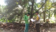 Permalink ke Cegah Karhutla, Bhabinkamtibmas Polsek Bandar Sei Kijang Bagikan Maklumat Kapolda Riau