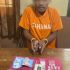 Polsek Minas Tangkap Pengedar Narkotika, 6,72 Gram Shabu Diamankan di Belakang Rumah Pelaku