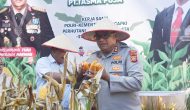 Permalink ke Panen Jagung, Panen Berkah” Kapolres Kampar Ikut Serta dalam Panen Raya di PT. Tasmapuja, Harapan Baru untuk Petani Kampar Permalink ke Panen Jagung, Panen Berkah” Kapolres Kampar Ikut Serta dalam Panen Raya di PT. Tasmapuja, Harapan Baru untuk Petani Kampar