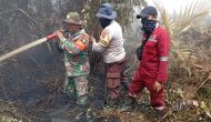 Permalink ke Karhutla Ancam Perumahan di Kampar, Personil Polres dan Petugas Gabungan Berjibaku Padamkan Api
