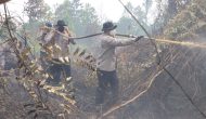 Permalink ke Wakapolda Riau & Kapolres Kampar Pantau Karhutla, Pastikan Pemadaman Tuntas di Rimbo Panjang